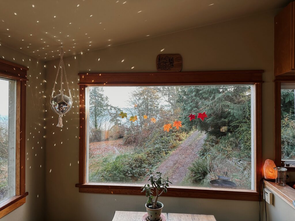 colored leaves hanging in window