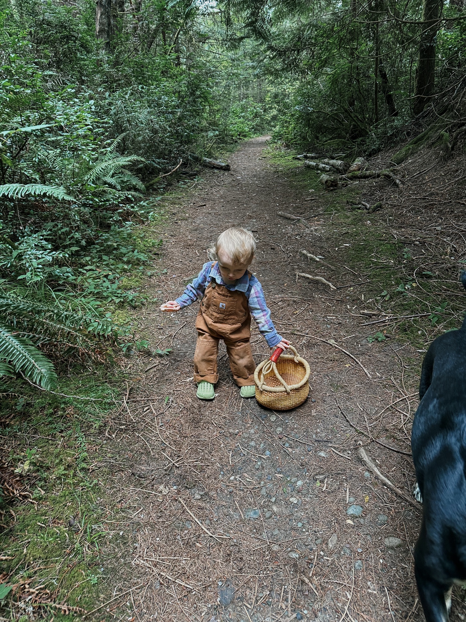 toddler carrying basket through the woods