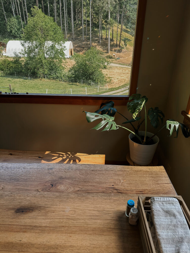 A calm image of a table and plant with shadow